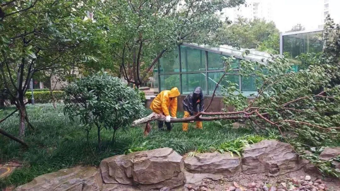 風(fēng)雨中的堅守丨智慧物業(yè)事業(yè)部迎戰(zhàn)臺風(fēng)“煙花”