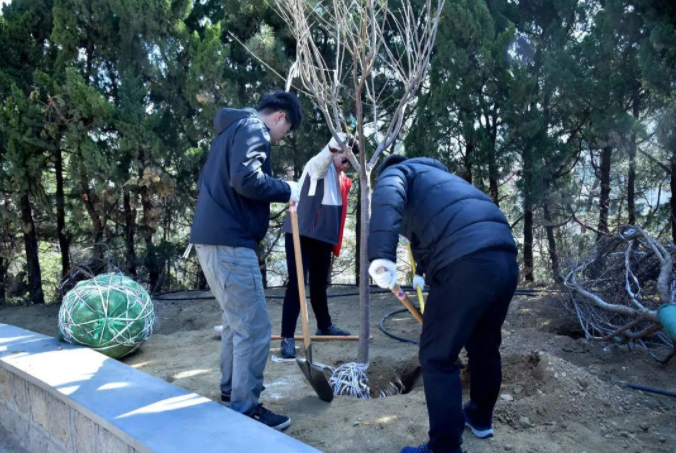 春風(fēng)十里，植下一片綠 | 瑞源控股集團開展2023年植樹節(jié)系列活動